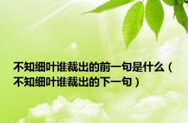 不知细叶谁裁出的前一句是什么（不知细叶谁裁出的下一句）