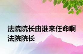 法院院长由谁来任命啊 法院院长 