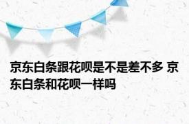 京东白条跟花呗是不是差不多 京东白条和花呗一样吗 