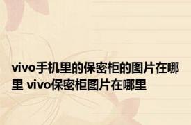 vivo手机里的保密柜的图片在哪里 vivo保密柜图片在哪里 