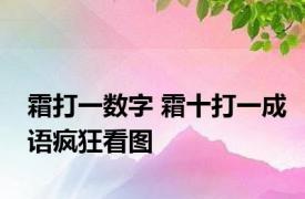 霜打一数字 霜十打一成语疯狂看图 