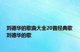 刘德华的歌曲大全20首经典歌 刘德华的歌 