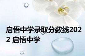 启悟中学录取分数线2022 启悟中学 