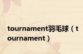 tournament羽毛球（tournament）