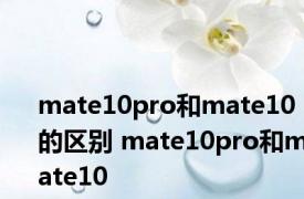 mate10pro和mate10的区别 mate10pro和mate10 