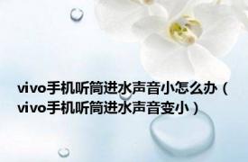 vivo手机听筒进水声音小怎么办（vivo手机听筒进水声音变小）