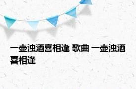 一壶浊酒喜相逢 歌曲 一壶浊酒喜相逢 