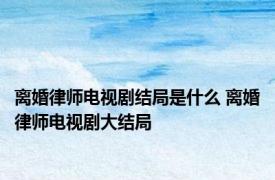 离婚律师电视剧结局是什么 离婚律师电视剧大结局 