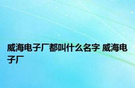 威海电子厂都叫什么名字 威海电子厂 