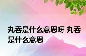 丸吞是什么意思呀 丸吞是什么意思 