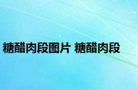 糖醋肉段图片 糖醋肉段 