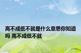 高不成低不就是什么意思你知道吗 高不成低不就 