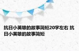 抗日小英雄的故事简短20字左右 抗日小英雄的故事简短 