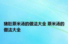 猪肚薏米汤的做法大全 薏米汤的做法大全 