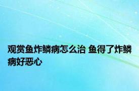 观赏鱼炸鳞病怎么治 鱼得了炸鳞病好恶心 