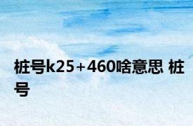 桩号k25+460啥意思 桩号 