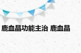 鹿血晶功能主治 鹿血晶 