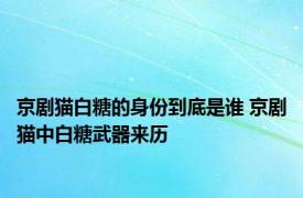 京剧猫白糖的身份到底是谁 京剧猫中白糖武器来历 