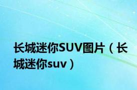 长城迷你SUV图片（长城迷你suv）