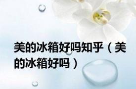 美的冰箱好吗知乎（美的冰箱好吗）