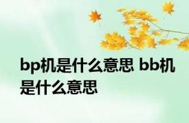 bp机是什么意思 bb机是什么意思 