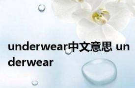 underwear中文意思 underwear 