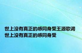 世上没有真正的感同身受王源歌词 世上没有真正的感同身受 