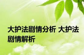 大护法剧情分析 大护法剧情解析 