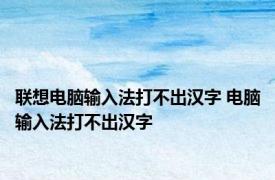 联想电脑输入法打不出汉字 电脑输入法打不出汉字 