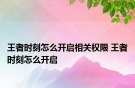 王者时刻怎么开启相关权限 王者时刻怎么开启 