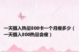 一天摄入热量800卡一个月瘦多少（一天摄入800热量会瘦）