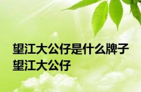 望江大公仔是什么牌子 望江大公仔 