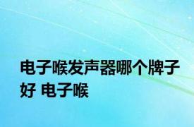 电子喉发声器哪个牌子好 电子喉 