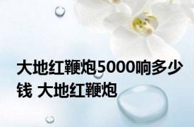 大地红鞭炮5000响多少钱 大地红鞭炮 