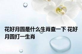 花好月圆是什么生肖查一下 花好月圆打一生肖 