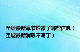 圣墟最新章节透露了哪些信息（圣墟最新消息不写了）