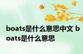 boats是什么意思中文 boats是什么意思 