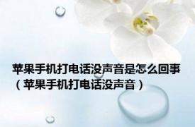 苹果手机打电话没声音是怎么回事（苹果手机打电话没声音）