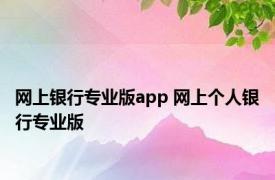 网上银行专业版app 网上个人银行专业版 