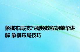 象棋布局技巧视频教程胡荣华讲解 象棋布局技巧 