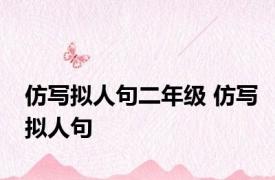 仿写拟人句二年级 仿写拟人句 