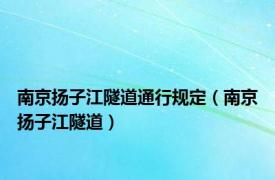 南京扬子江隧道通行规定（南京扬子江隧道）