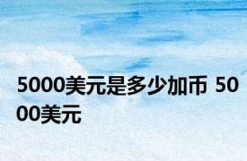 5000美元是多少加币 5000美元 