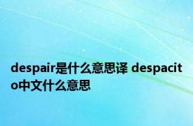 despair是什么意思译 despacito中文什么意思 