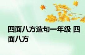 四面八方造句一年级 四面八方 