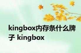 kingbox内存条什么牌子 kingbox 