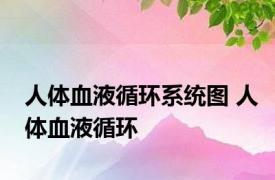 人体血液循环系统图 人体血液循环 