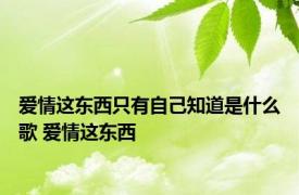 爱情这东西只有自己知道是什么歌 爱情这东西 