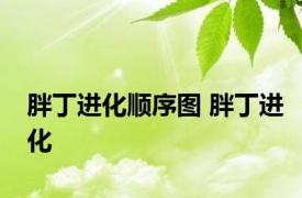 胖丁进化顺序图 胖丁进化 