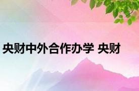 央财中外合作办学 央财 